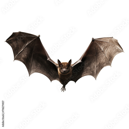 Bat Flying Isolated Transparent, Generative AI