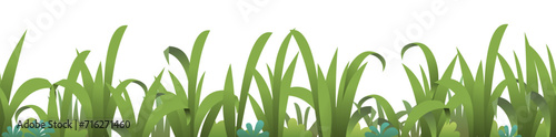 Dense thickets of grass. Thickets of plants on lawn. Wildlife landscape. Summer pasture. Cartoon fun style. Isolated on white background. Seamless illustration. Flat design. Vector