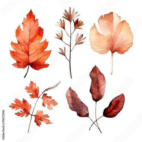 set of dry flowers, dried leaf and twig