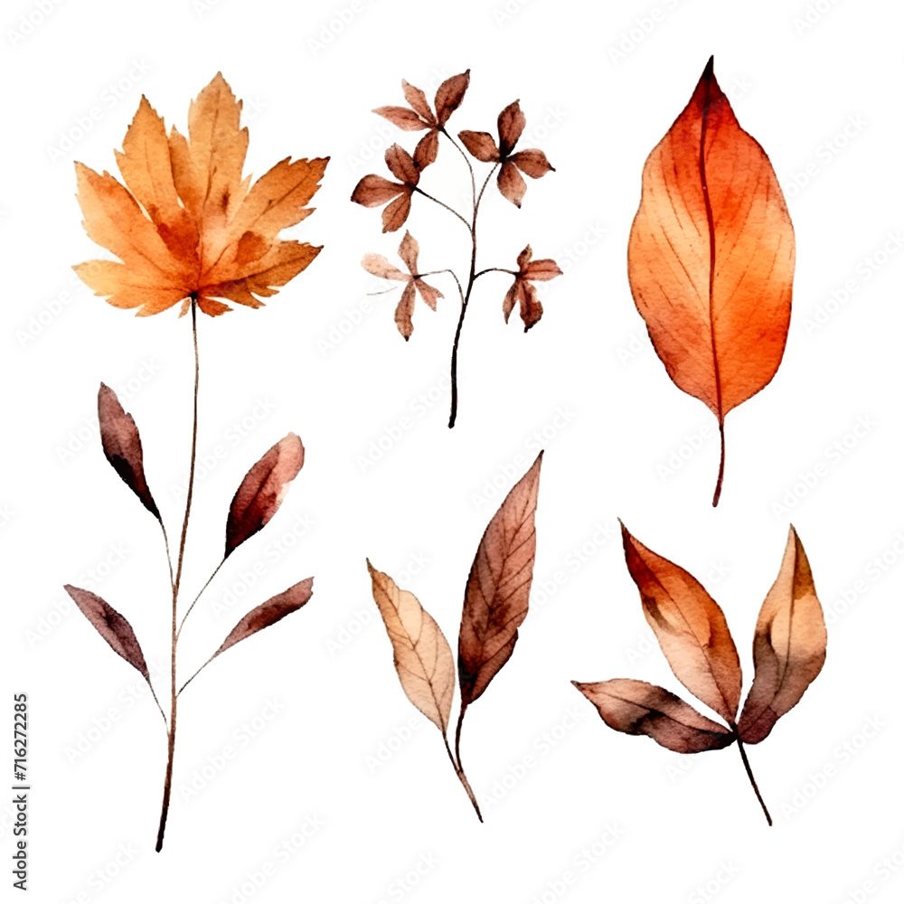 set of dry flowers, dried leaf and twig