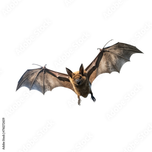 Bat Flying Isolated Transparent, Generative AI © aiartist