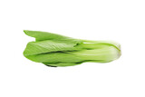 Bok choy vegetable transparent png