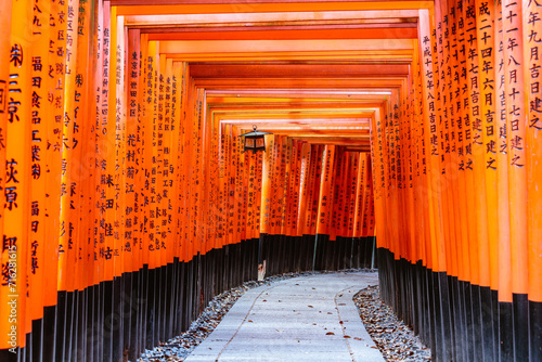 Torii gates, Fushimi Inari Shrine, Kyoto, Japan photo