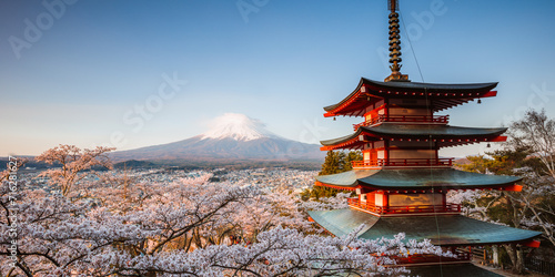Panorama of Chureito pagoda and Mt Fuji with cherry blossoms, Japan photo