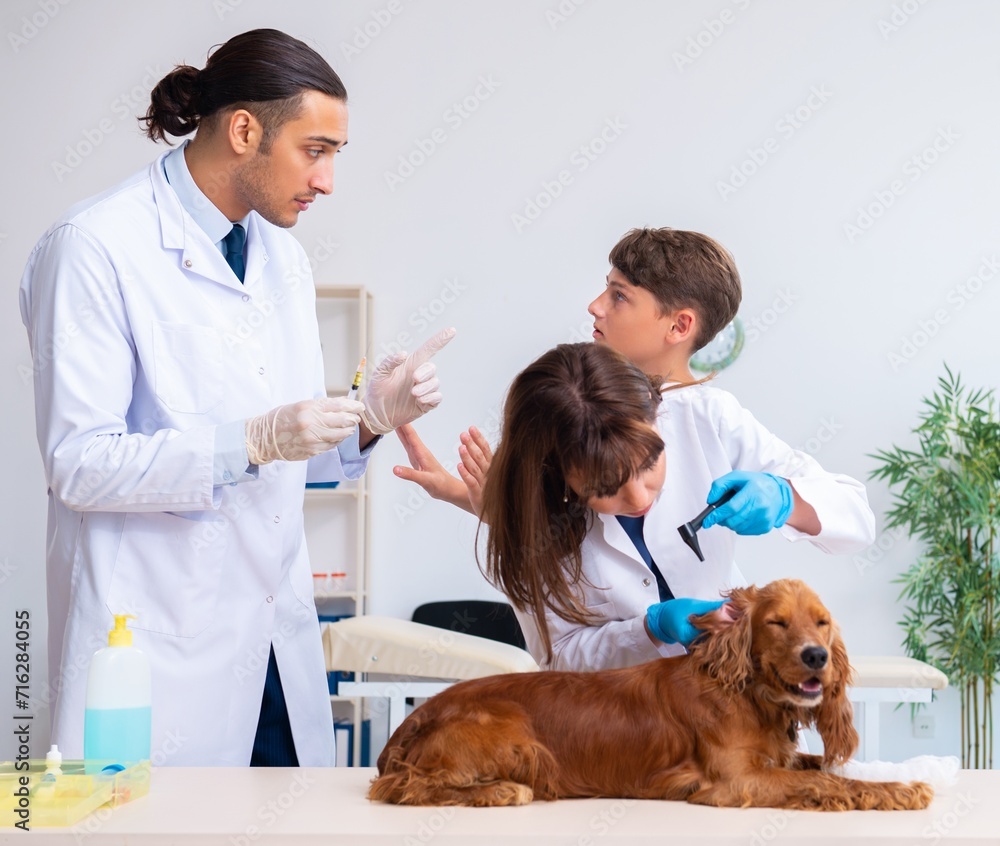 Vet doctor examining golden retriever dog in clinic Vet doctor examining golden retriever dog in clinic
