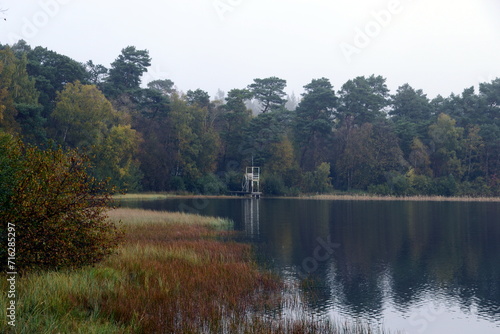 Landscape in Autumn at Lake Grosser Bullensee, Lower Saxony photo