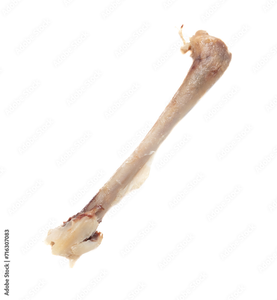 Chicken bone isolated on white background. Close-up