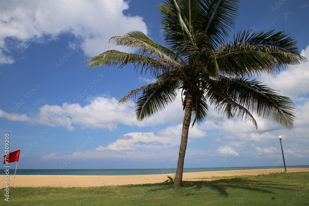 chilaw beach Sri Lanka