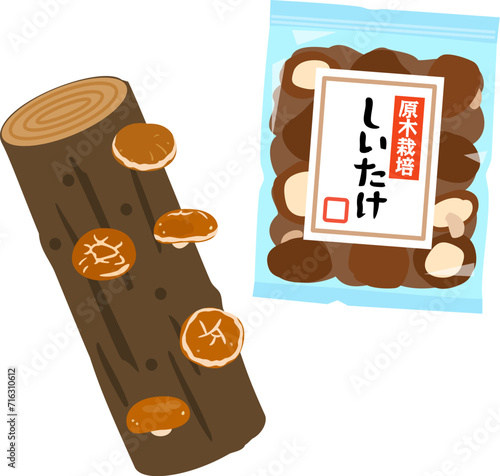 袋入りの干し原木しいたけ