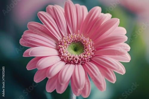 A detailed view of a pink flower in a vase, perfect for adding a touch of nature to any space