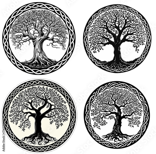 Set of Celtic tree ornament isolated on white background