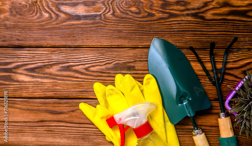 Garden tools on the background of a brown wooden table 