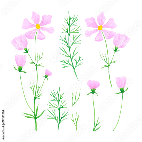 Hand drawn watercolor wildflowers isolated on white background. Can be used for cards, label, poster and other printed products.