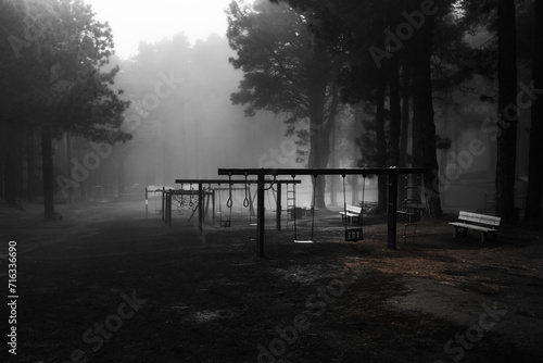 Empty swing on a playground in a foggy forest on the island of La Palma  Spain 