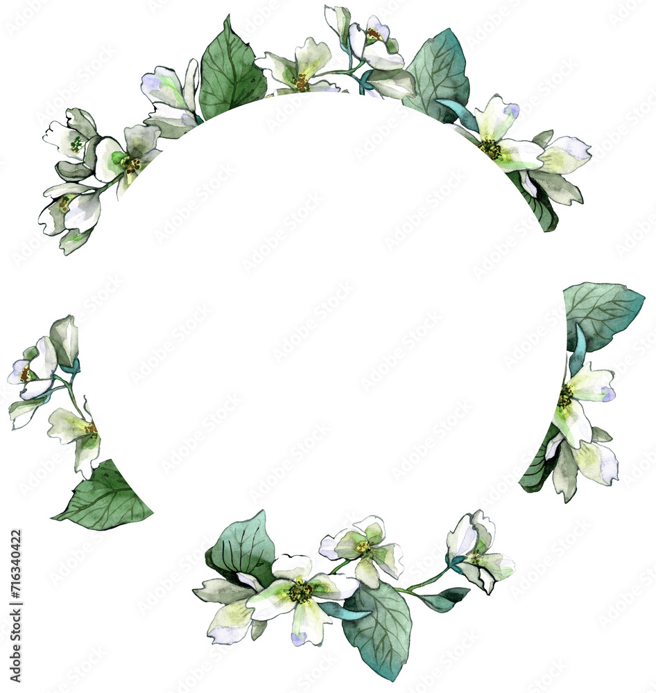 Naklejka premium Watercolor hand painted jasmine frame. PNG transparent background