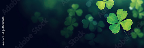 four leaf clover on green shamrock background. Green clover leaf isolated on dark background. with three-leaved shamrocks. St. Patrick's day holiday banner