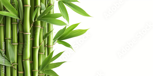 Fresh bamboo shoots delicately captured against a simple white backdrop, highlighting their natural beauty and culinary potential. Clean and minimalist composition for a serene aesthetic.