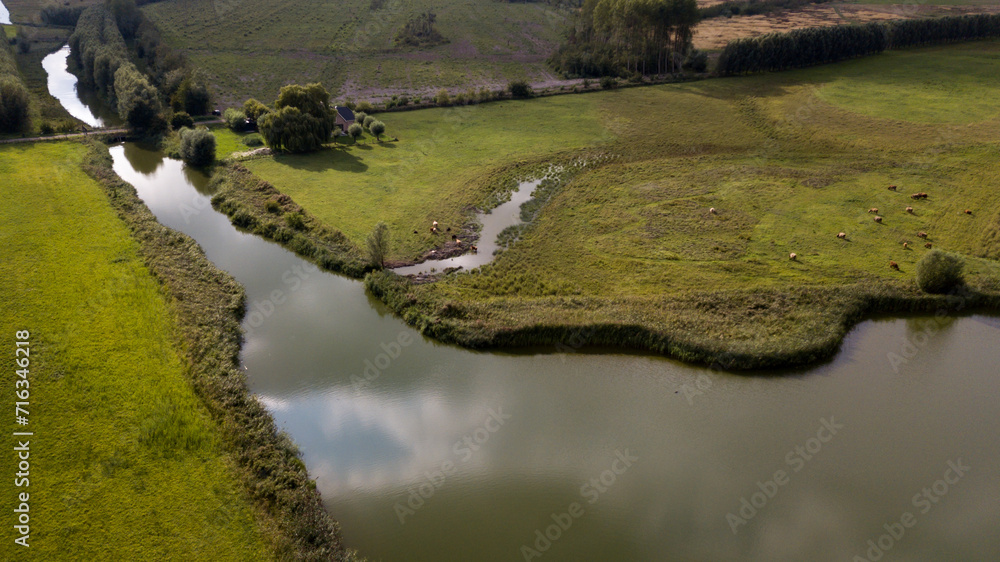 Aerial view of a swampy pasture