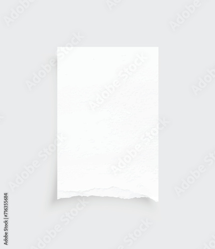 Torn paper edges. Ripped paper texture. Paper tag. White paper sheet for background with clipping path. Vector illustration.