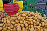 Arles, frutta e verdure al mercato: patate - Provenza - Francia