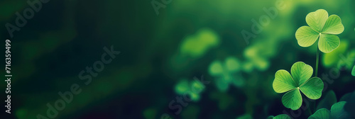 four leaf clover on green shamrock background. Green clover leaf isolated on dark background. with three-leaved shamrocks. St. Patrick's day holiday	banner photo