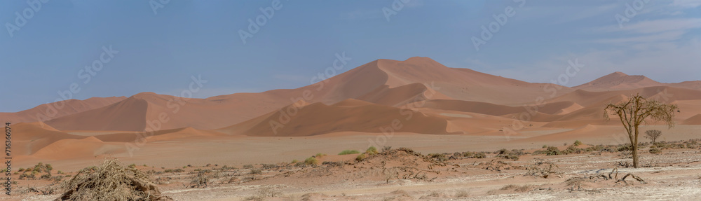 dry tree and myriad of red dunes slopes, Naukluft desert near Sossusvlei,  Namibia