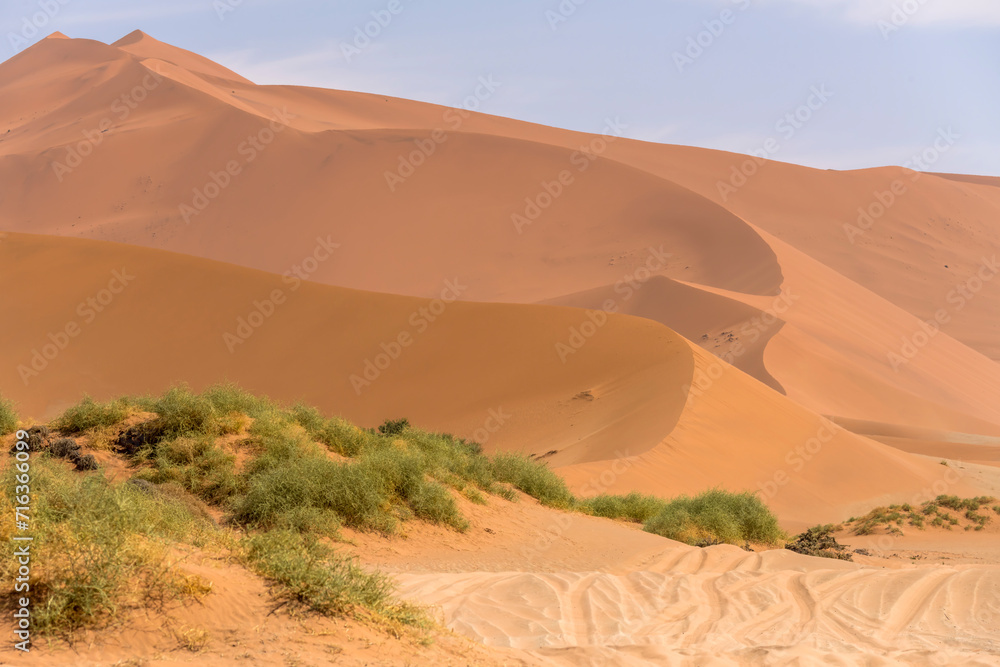 shades of red on big dunes at Naukluft desert, near Sossusvlei,  Namibia