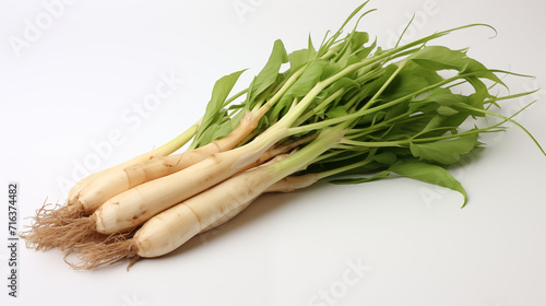 fresh galangal against a clean white backdrop, highlighting its aromatic essence and culinary versatility. A minimalist and elegant visual, perfect for culinary or artistic use. photo
