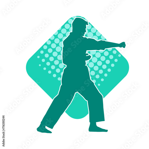 Silhouette of a man in oriental martial art pose. Silhouette of a male in martial art move.