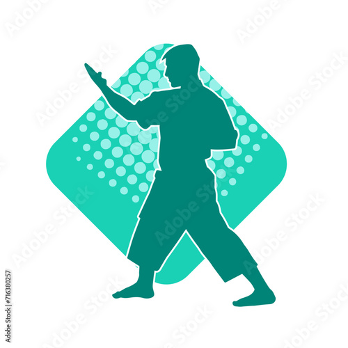Silhouette of a man in oriental martial art pose. Silhouette of a male in martial art move.