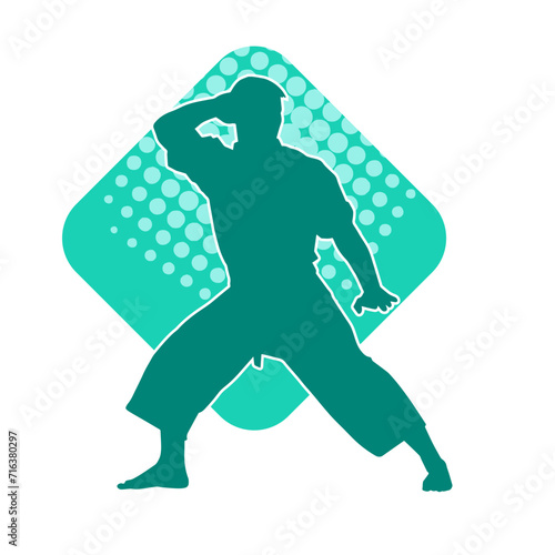 Silhouette of a man in oriental martial art pose. Silhouette of a male in martial art move.