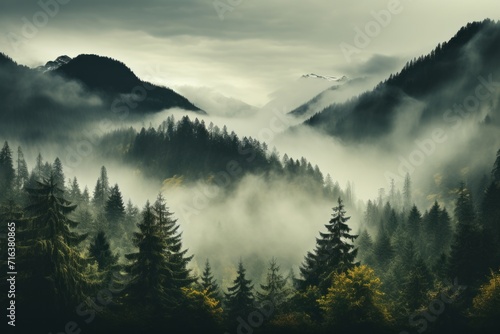 Mystical forest with thick clouds of mist among the trees, Generative AI