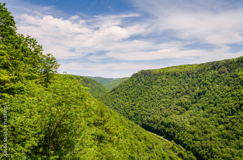 Obraz premium Pine Creek Gorge, or the The Grand Canyon of Pennsylvania, USA
