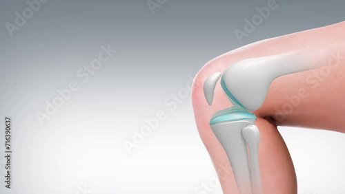 Treat bones and joints and bones Increase collagen in knee joints 3d Rendering photo
