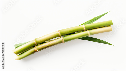 Flat lay of Fresh sugar cane stalk with peeled