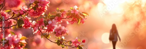 Banner Spring Landscape Flowers Apple Tree, Banner Image For Website, Background, Desktop Wallpaper