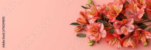 Beautiful Bouquet Alstroemeria Flowers On Light, Banner Image For Website, Background, Desktop Wallpaper
