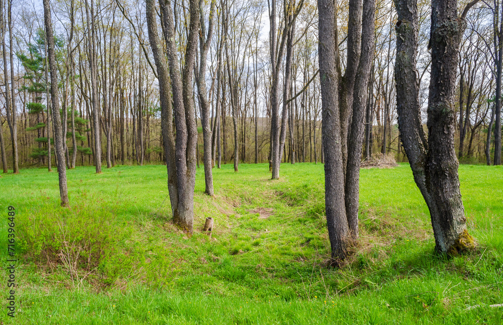 Pithole, a ghost town in Cornplanter Township, Venango County, Pennsylvania, United States Pithole, a ghost town in Cornplanter Township, Venango County, Pennsylvania, United States