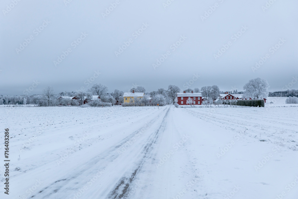 Country road landscape in a cold and frosty winter day