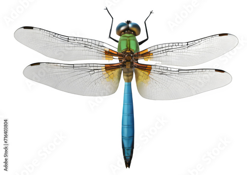 02 dragonfly