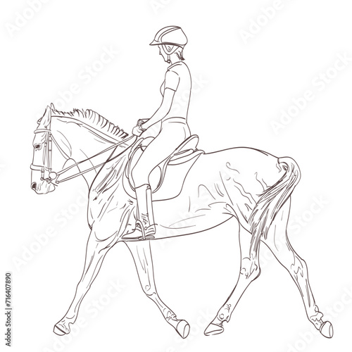 Fototapeta Naklejka Na Ścianę i Meble -  a horse rider drawing. equestrian training line-art illustration. vector