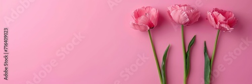 Happy Mothers Day Womens Minimalist Banner  Banner Image For Website  Background  Desktop Wallpaper