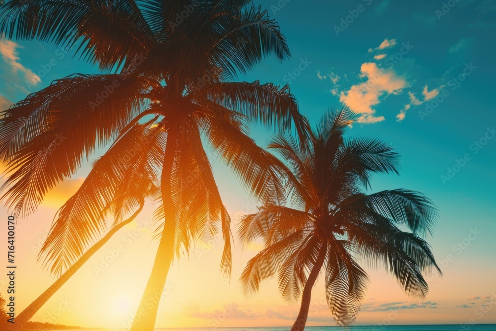 Palm trees sitting on top of a beach. Perfect for tropical vacation concepts