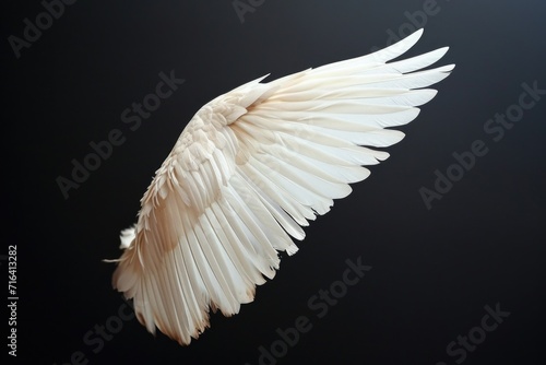 A picture of a white bird with its wings spread out. Can be used to symbolize freedom, peace, or nature