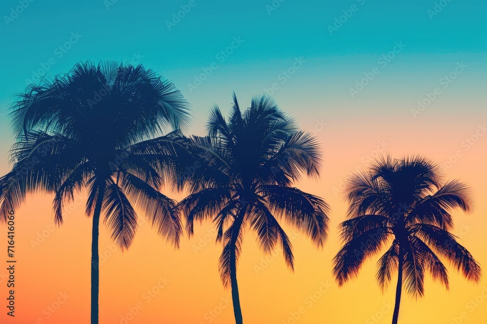 Three palm trees standing tall and casting dark shadows against a vibrant sunset sky. Perfect for tropical vacation destinations or nature-themed designs
