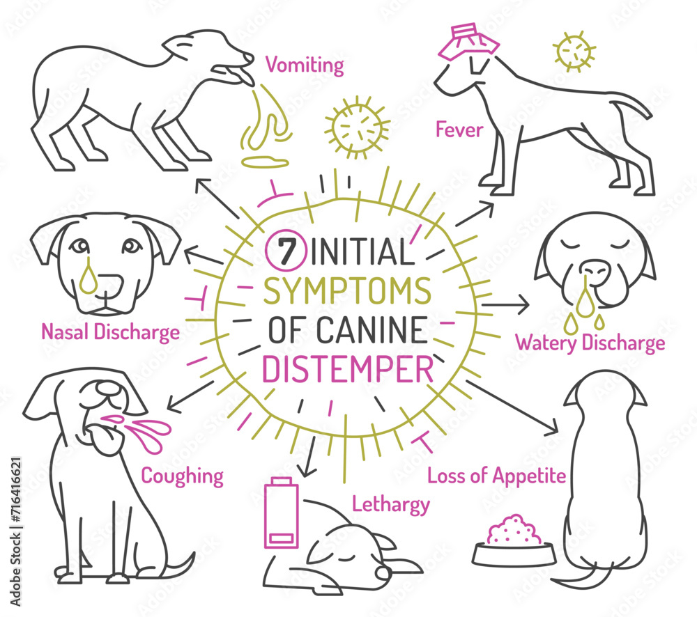 Parvovirus in dogs. Symptoms of parvo. Canine gastrointestinal ...