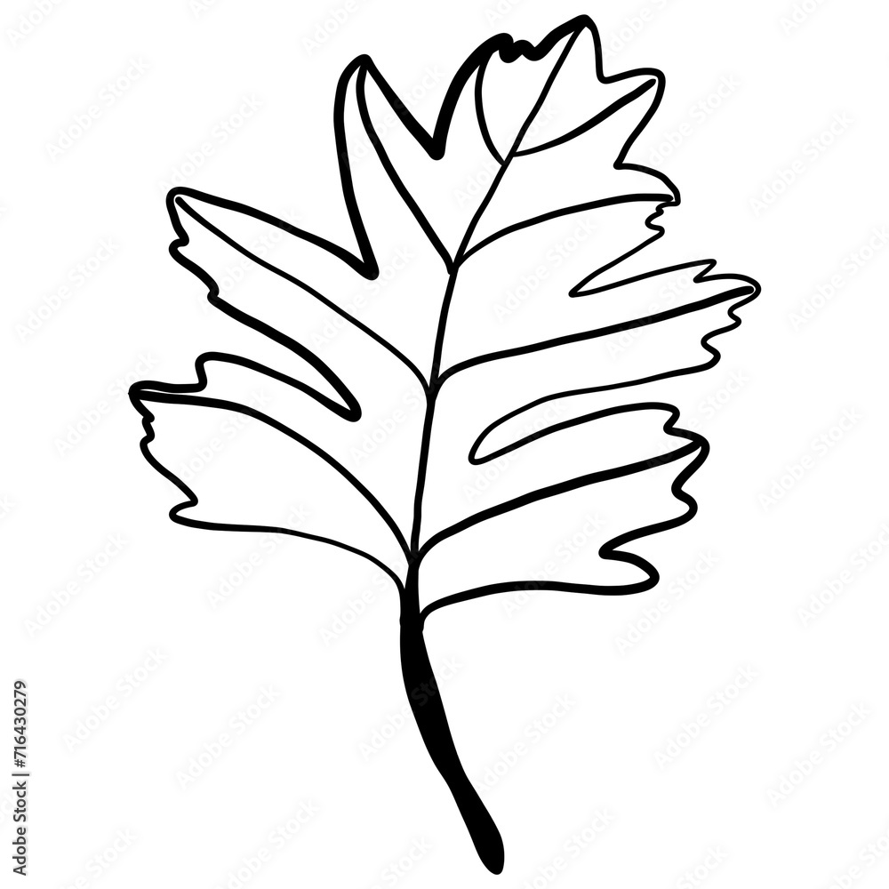 leaf leaf