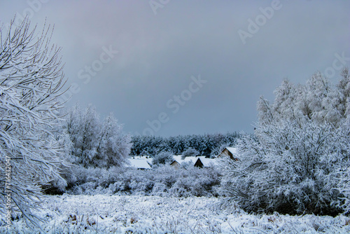 houses in the forest in winter