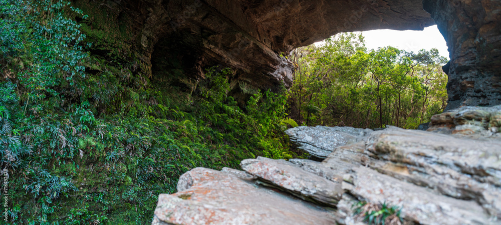 Obraz premium Tranquil Overhang Shelter Surrounded by Dense Greenery