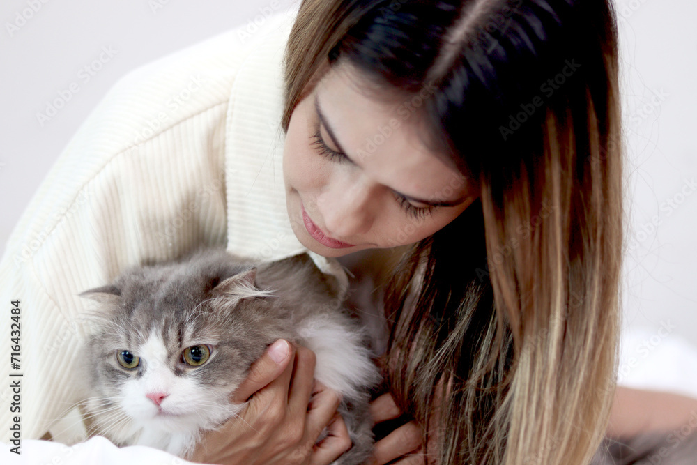 Cute white gray Persian cat comfortably sitting in owner lap hands, happy fluffy pet comfortably being gently touching with love by owner. Adorable long hair kitty with woman owner relaxing at home. Cute white gray Persian cat comfortably sitting in owner lap hands, happy fluffy pet comfortably being gently touching with love by owner. Adorable long hair kitty with woman owner relaxing at home.